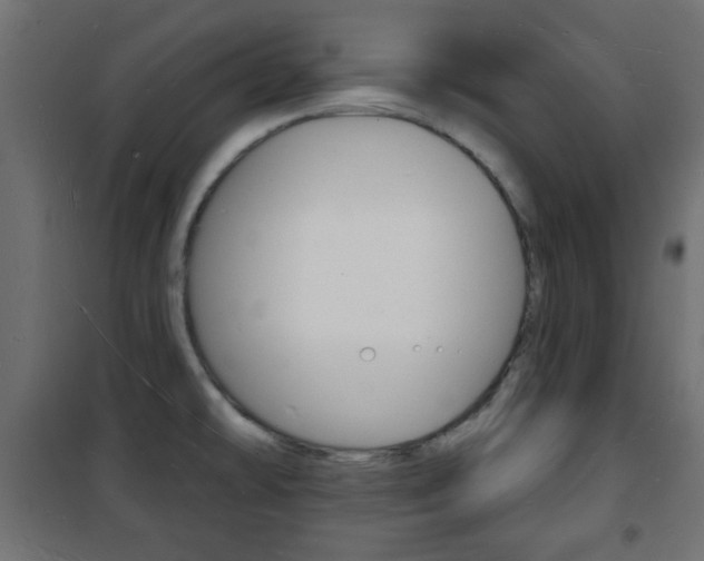 X0000101471478200807071207