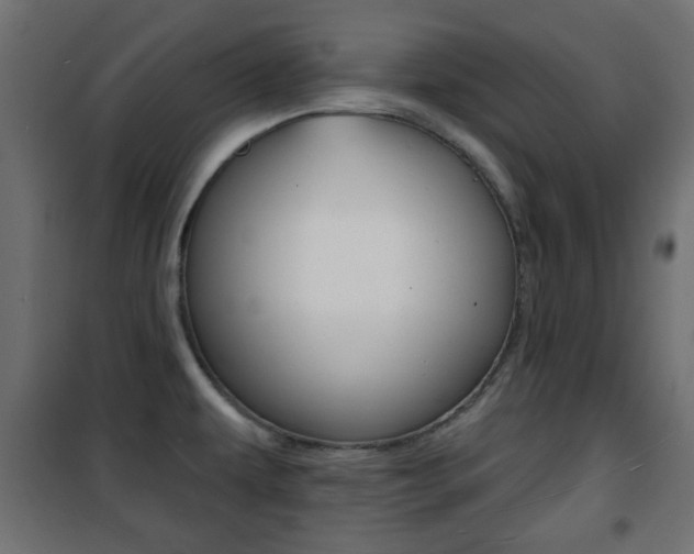 X0000101471479200807071207