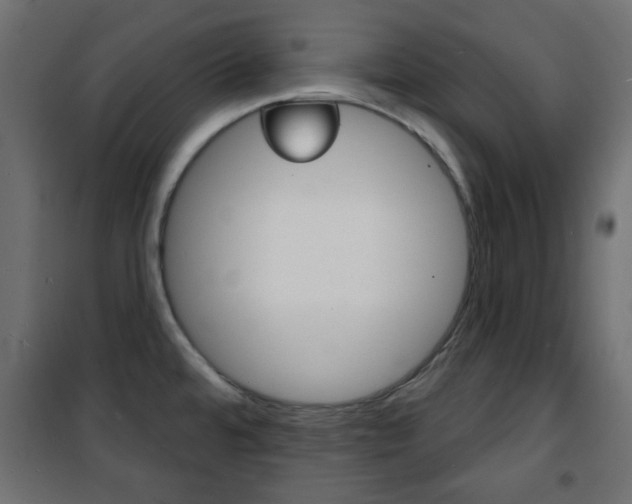 X0000101471480200807071207