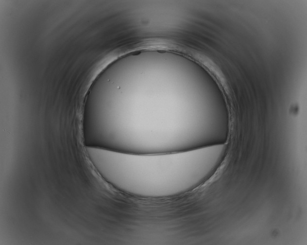 X0000101471481200807071207