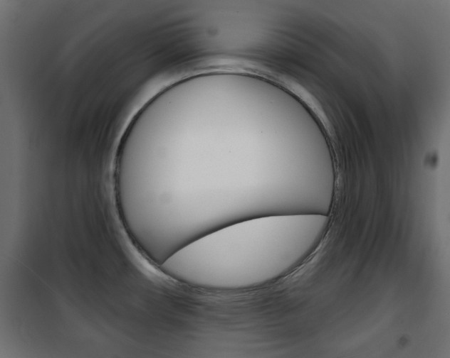 X0000101471482200807071207
