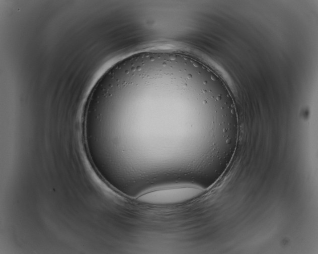 X0000101471483200807071207