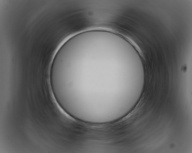 X0000101471484200807071207