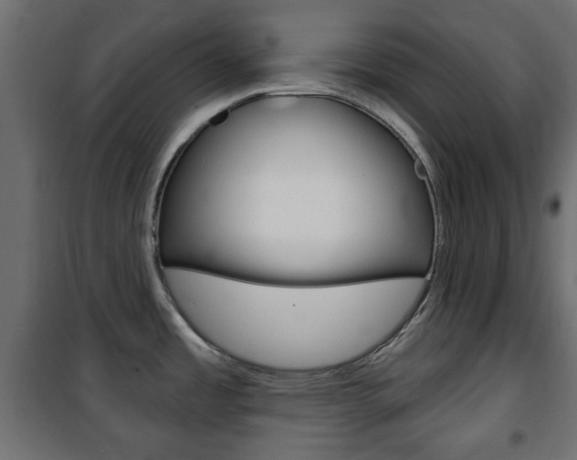 X0000101471485200807071207