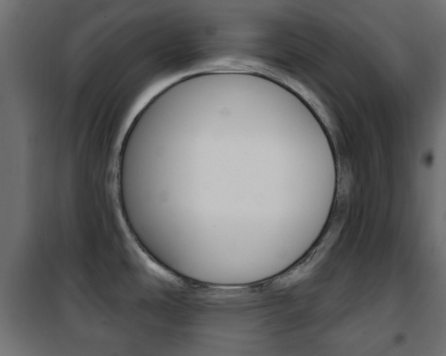 X0000101471486200807071207