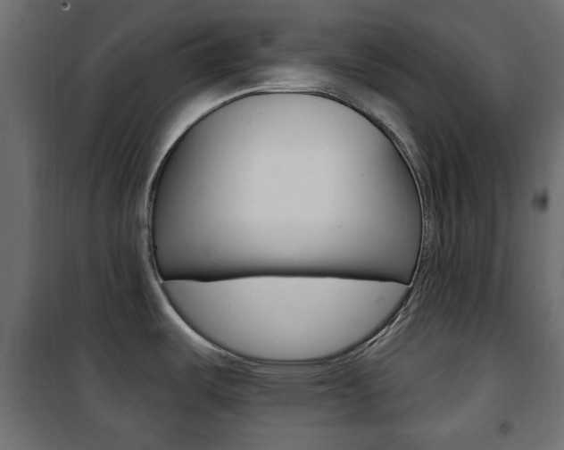 X0000101471487200807071207