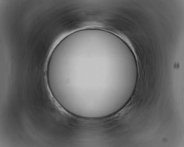 X0000101471488200807071207