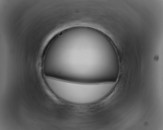 X0000101471511200807071207