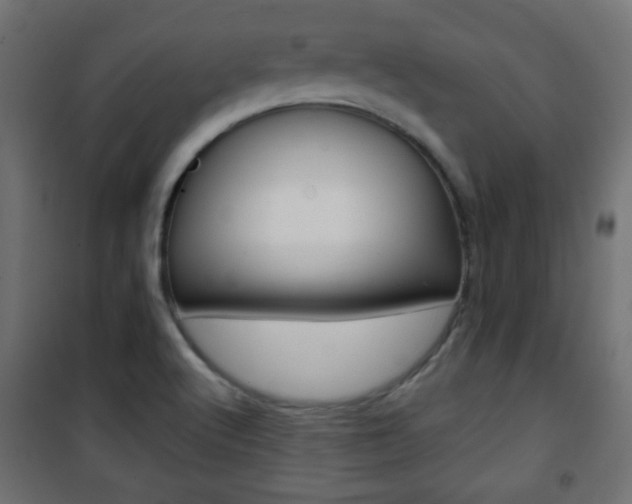 X0000101471512200807071207
