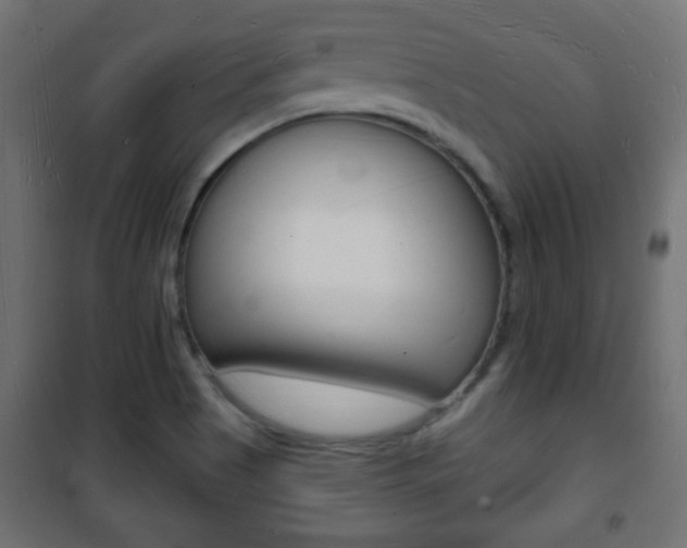 X0000101471513200807071207