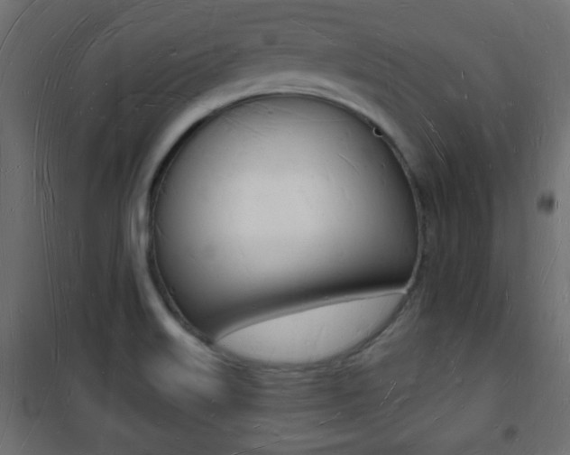 X0000101471515200807071207