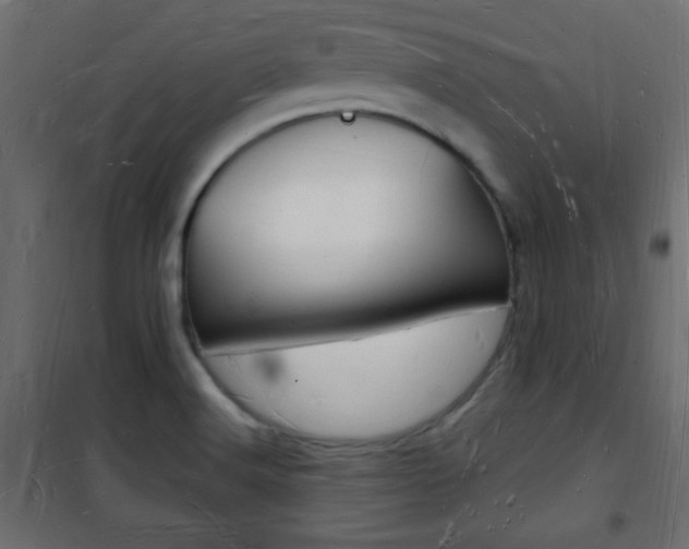 X0000101471516200807071207