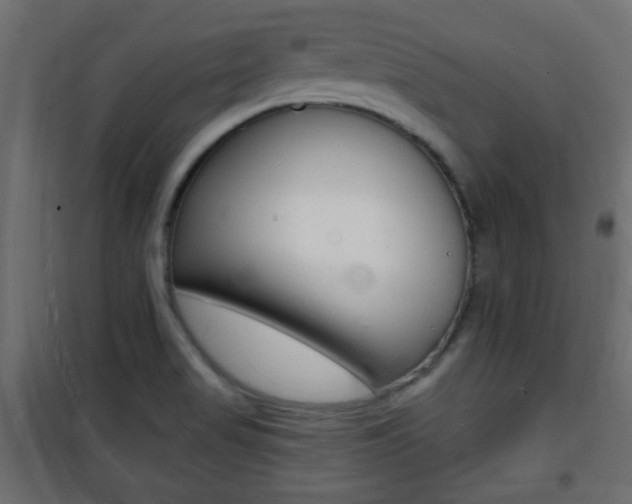 X0000101471517200807071207