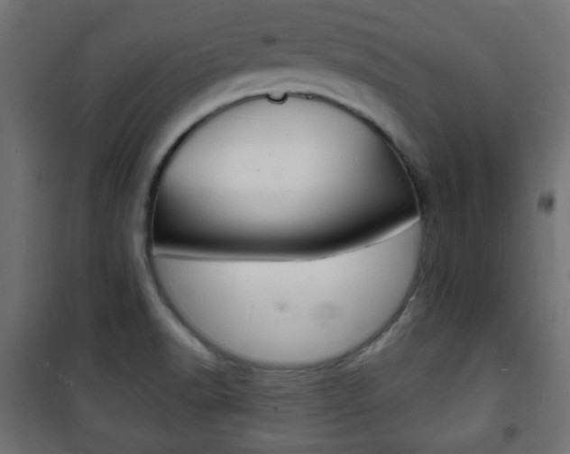 X0000101471518200807071207