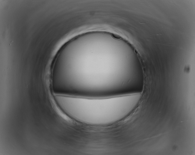 X0000101471519200807071207