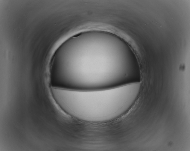 X0000101471520200807071207