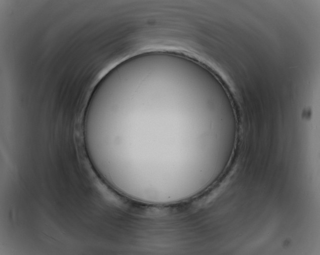 X0000101471521200807071207