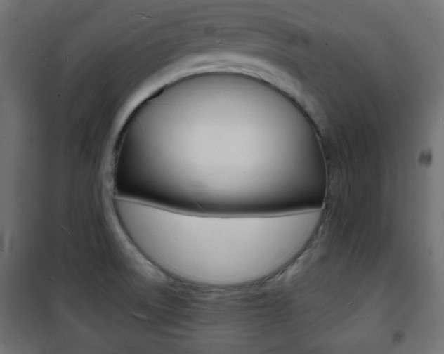 X0000101471522200807071207