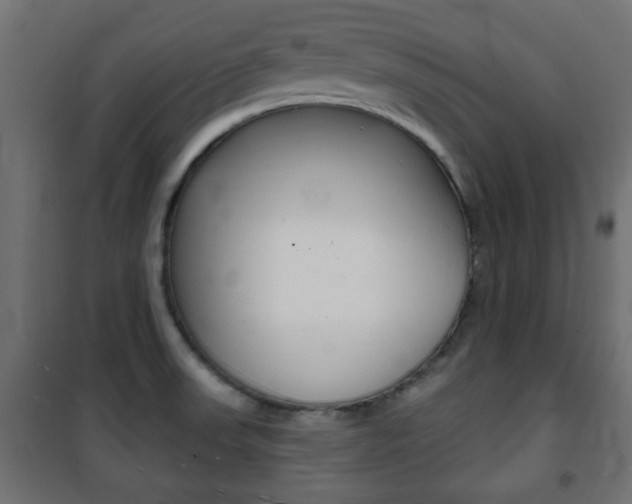 X0000101471523200807071207