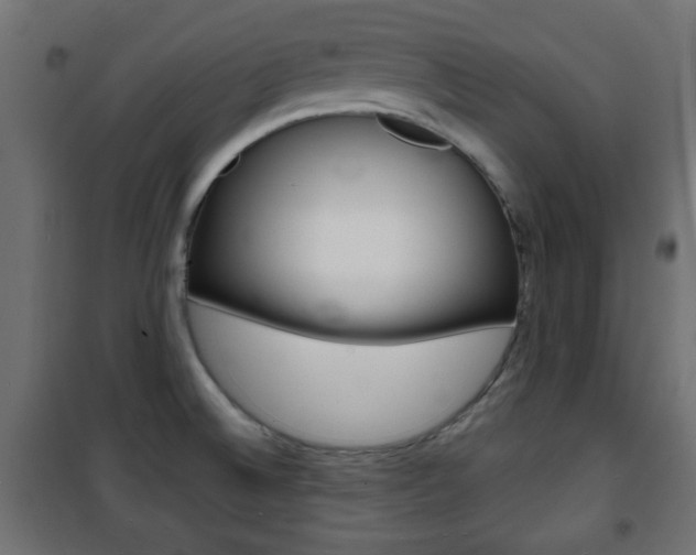 X0000101471524200807071207