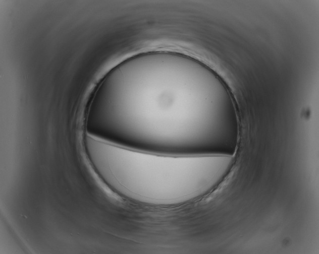X0000101471525200807071207