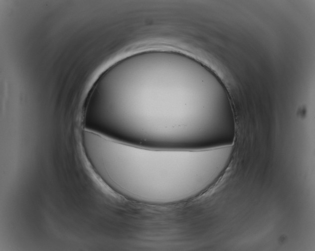 X0000101471526200807071207