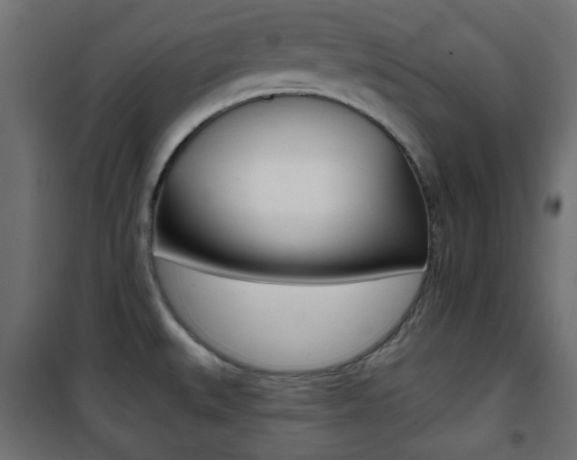 X0000101471527200807071207