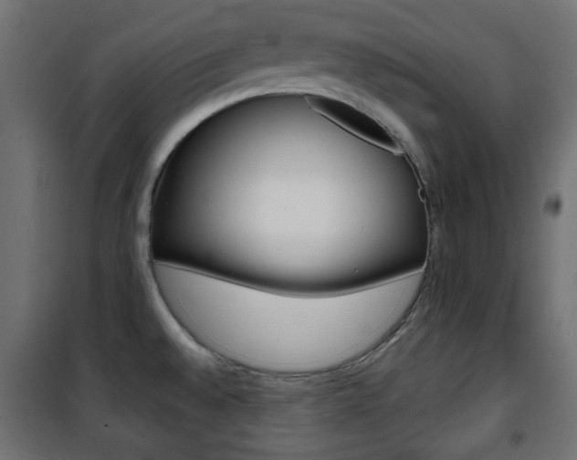 X0000101471528200807071207