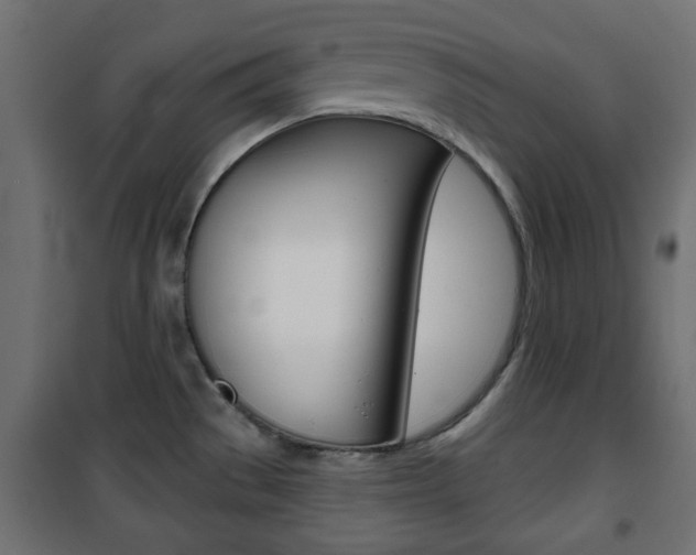 X0000101471529200807071207