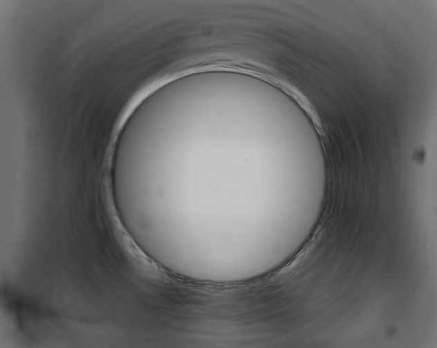 X0000101471530200807071207
