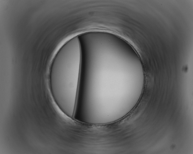X0000101471531200807071207