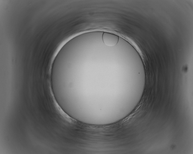 X0000101471532200807071207