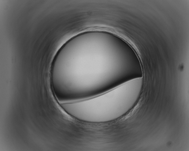 X0000101471533200807071207
