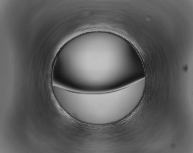 X0000101471534200807071207