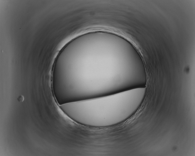 X0000101471535200807071207
