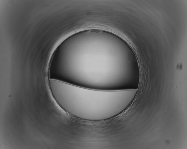 X0000101471536200807071207