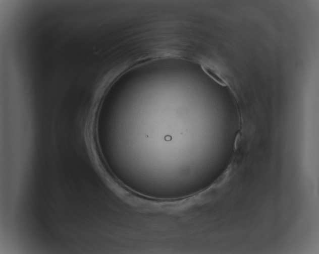 X0000101470001200807071453