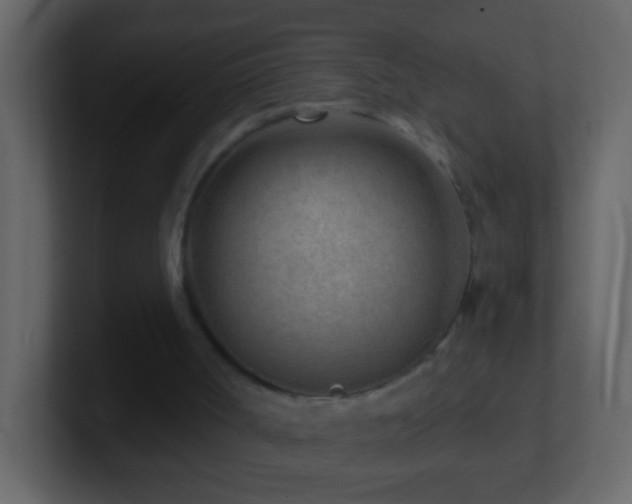 X0000101470002200807071453