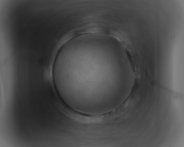 X0000101470004200807071453