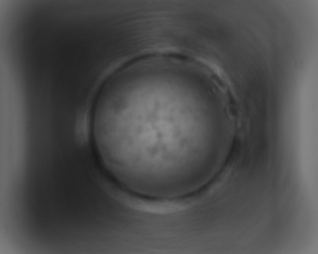 X0000101470012200807071452