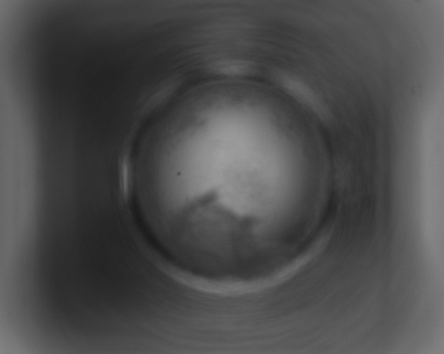 X0000101470014200807071452
