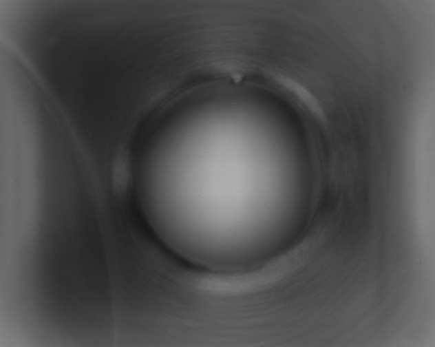 X0000101470017200807071452