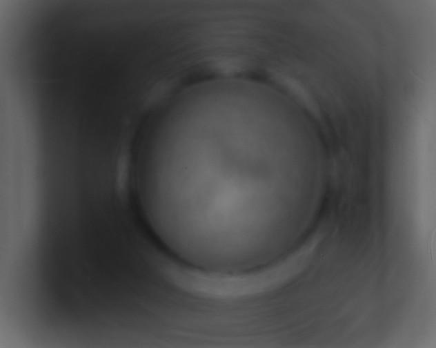 X0000101470018200807071452