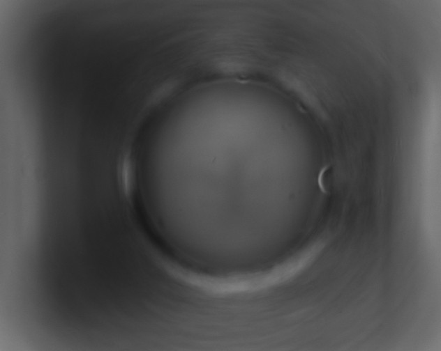 X0000101470019200807071452