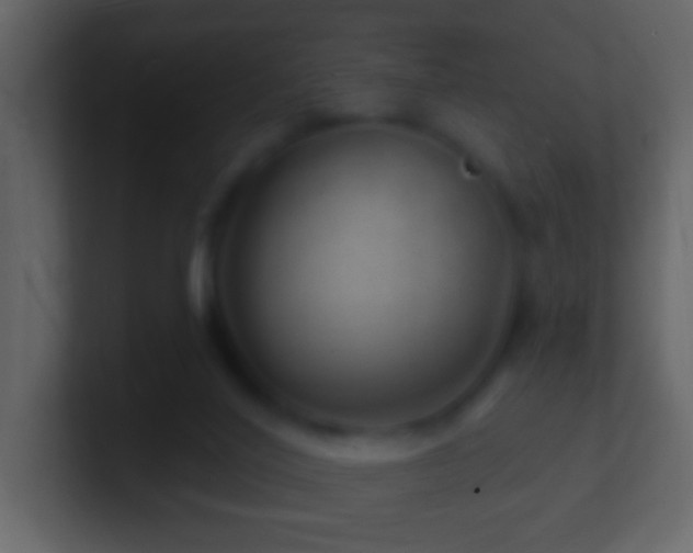 X0000101470020200807071452