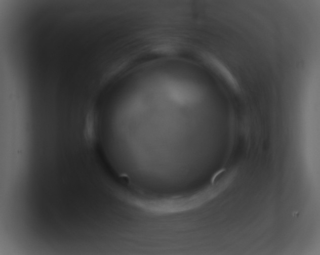 X0000101470023200807071452