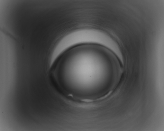 X0000101470024200807071452