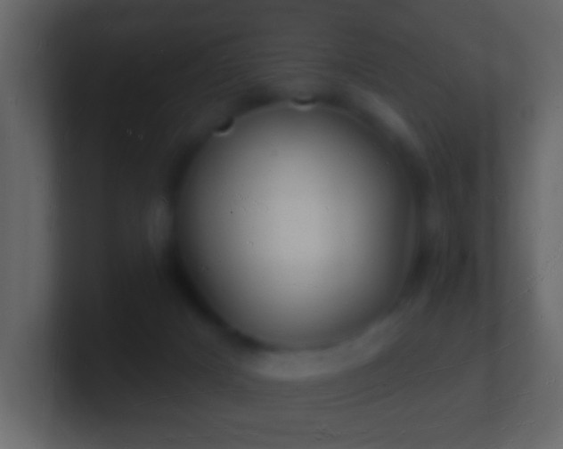 X0000101470025200807071452