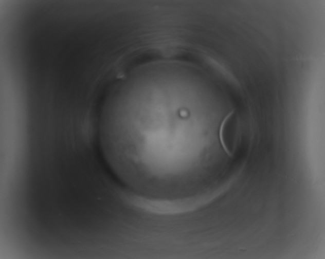X0000101470030200807071452