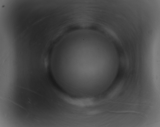 X0000101470032200807071452